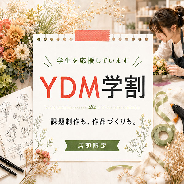 YDM学割